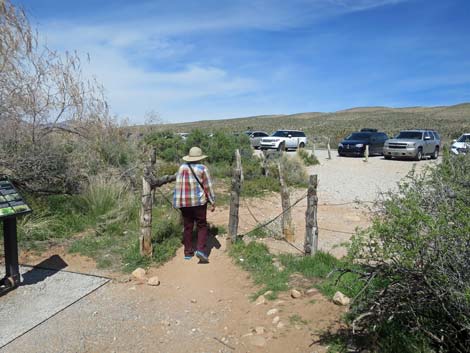 First Creek Canyon