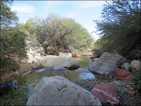 First Creek Canyon