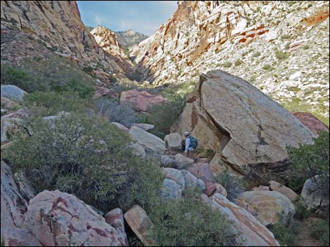 First Creek Canyon