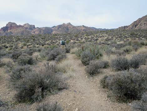 Grand Circle Trail