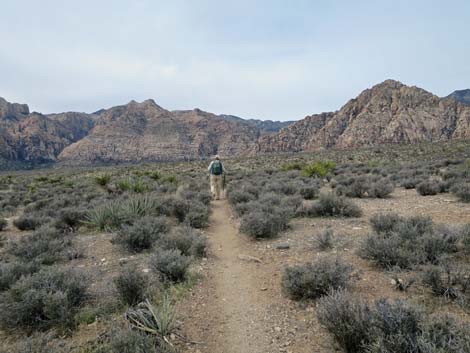 Grand Circle Trail