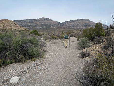 Grand Circle Trail