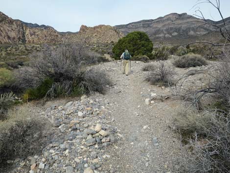 Grand Circle Trail