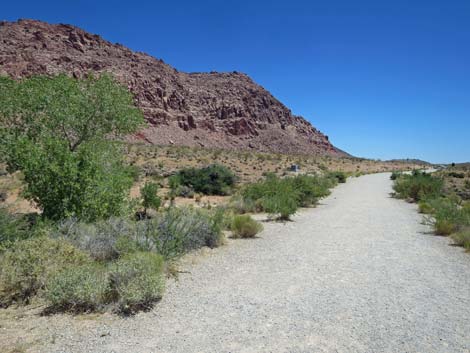 Girl Scout Trail