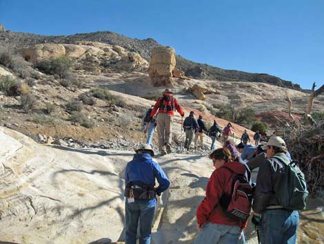 Gray Cap Peak Route