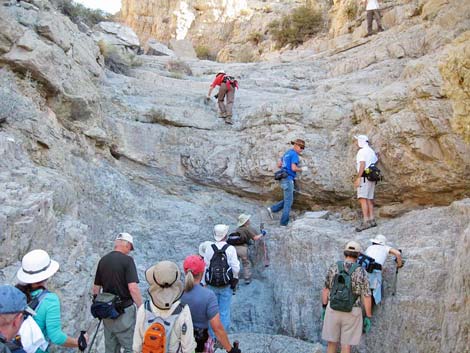 Gray Cap Peak Route