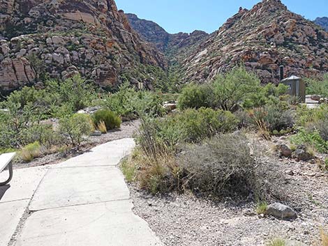 handprints Trail