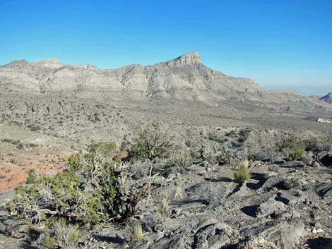 Hogback Ridge Route