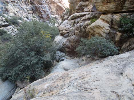 Ice Box Canyon