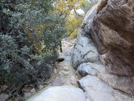 Ice Box Canyon