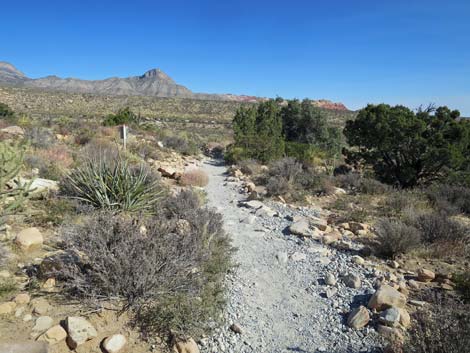 Ice Box Canyon