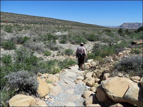 Icebox Canyon