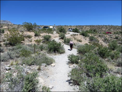 Icebox Canyon