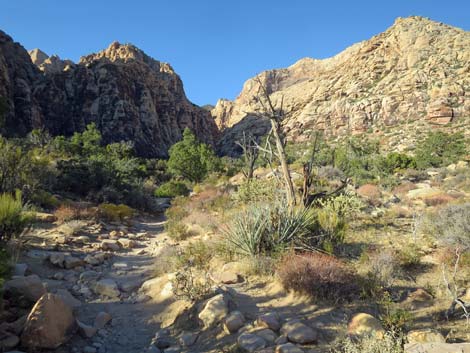 Ice Box Canyon