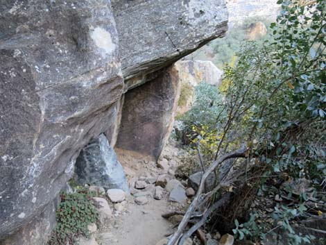 Ice Box Canyon