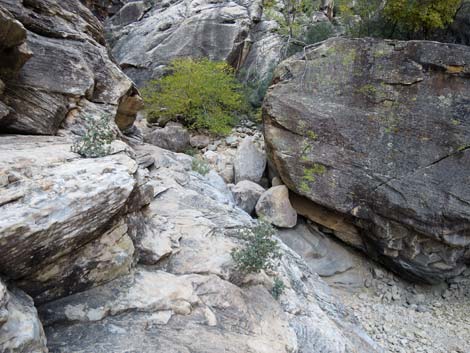 Ice Box Canyon