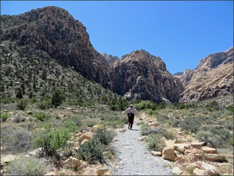 Icebox Canyon