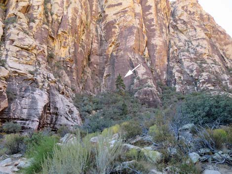 Ice Box Canyon