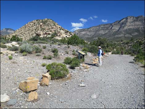 Keystone Thrust