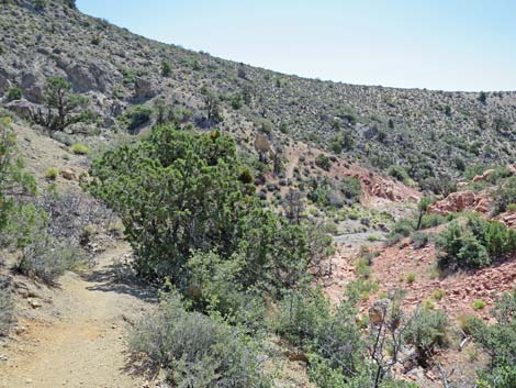 Keystone Loop