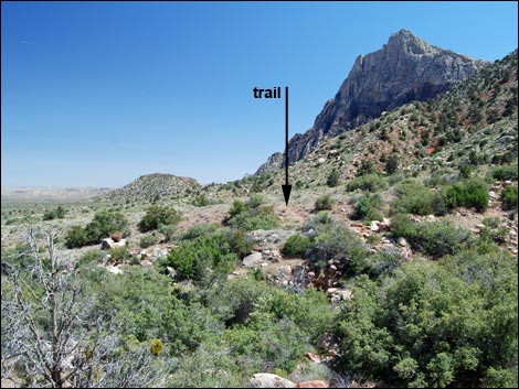 Knoll Trail