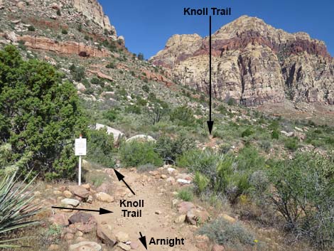 Knoll Trail