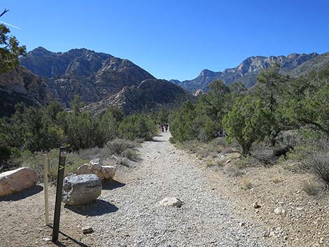 White Rock Loop Trail