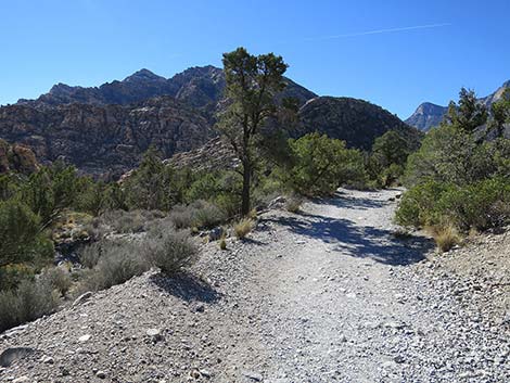 White Rock Loop Trail