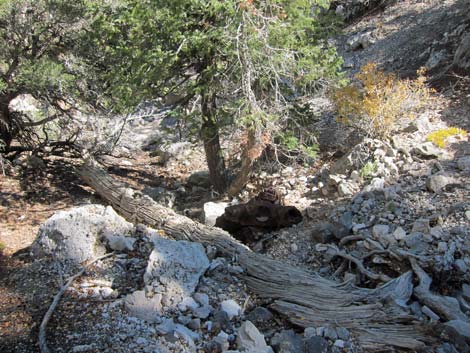 Carole Lombard Crash Site