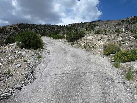 Carole Lombard Crash Site