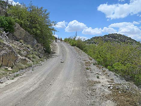 Carole Lombard Crash Site