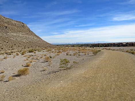 Lone Mountain