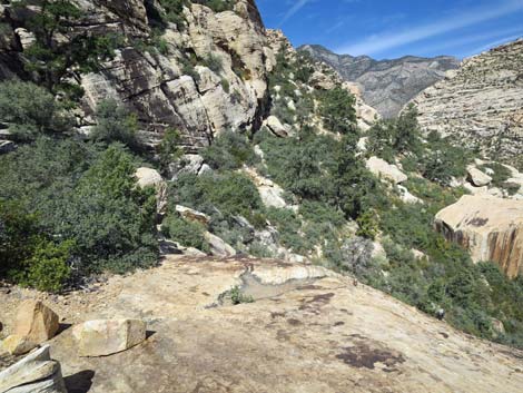 Upper Lost Creek Falls