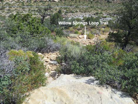 Upper Lost Creek Falls