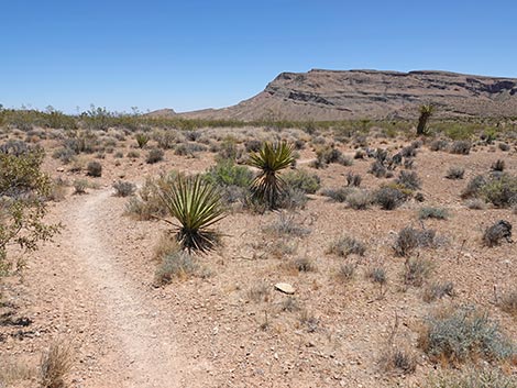 Moenkopi Trail