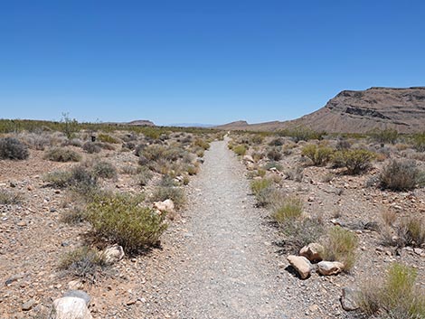Moenkopi Trail