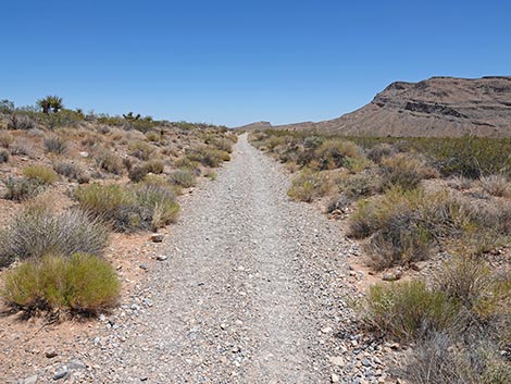Moenkopi Trail