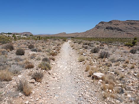 Ride Share Deluxe Loop Trail
