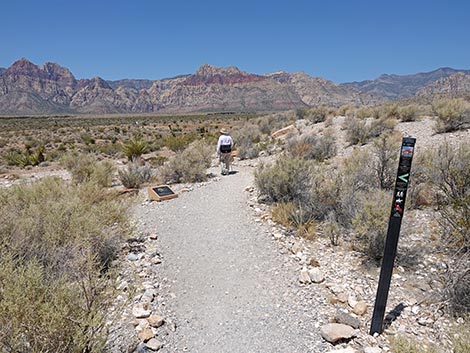 Moenkopi Trail