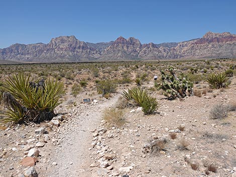 Moenkopi Trail