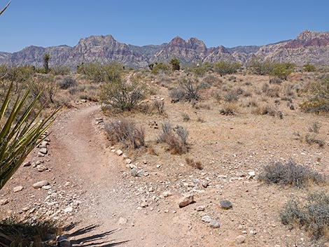 Moenkopi Trail