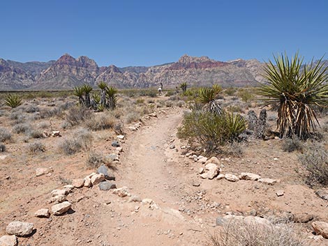 Moenkopi Trail
