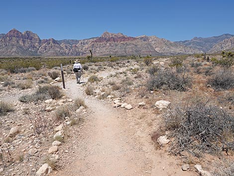 Moenkopi Trail