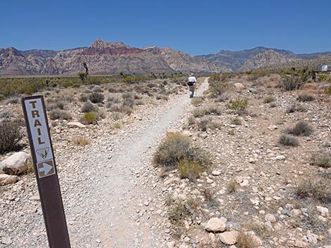 Moenkopi Trail