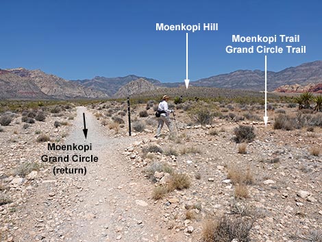 Moenkopi Trail