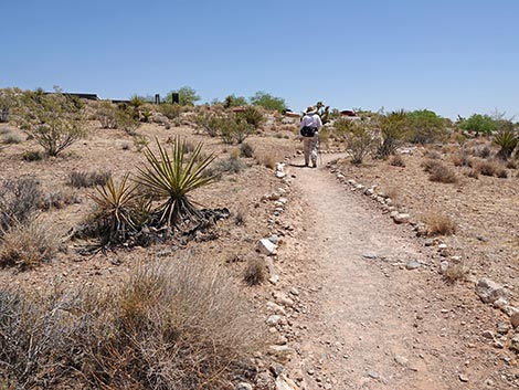 Moenkopi Trail