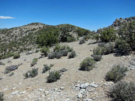 Mountain Spring Peak Route