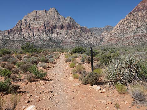 oak creek canyon