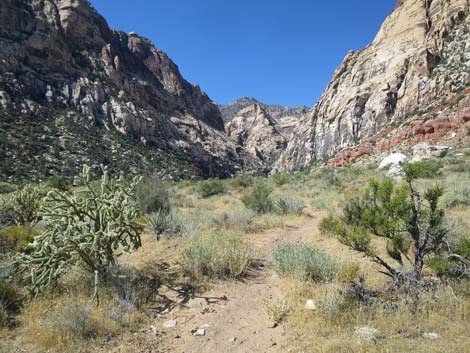 oak creek canyon