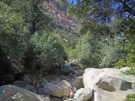 oak creek canyon